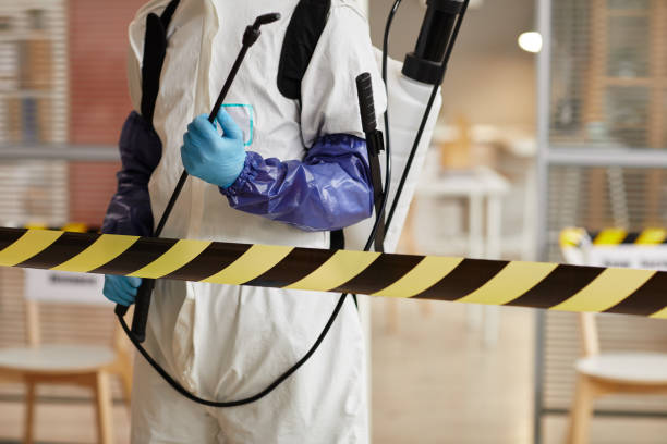 Professional Sewage Cleanup technician working in Southampton, NY